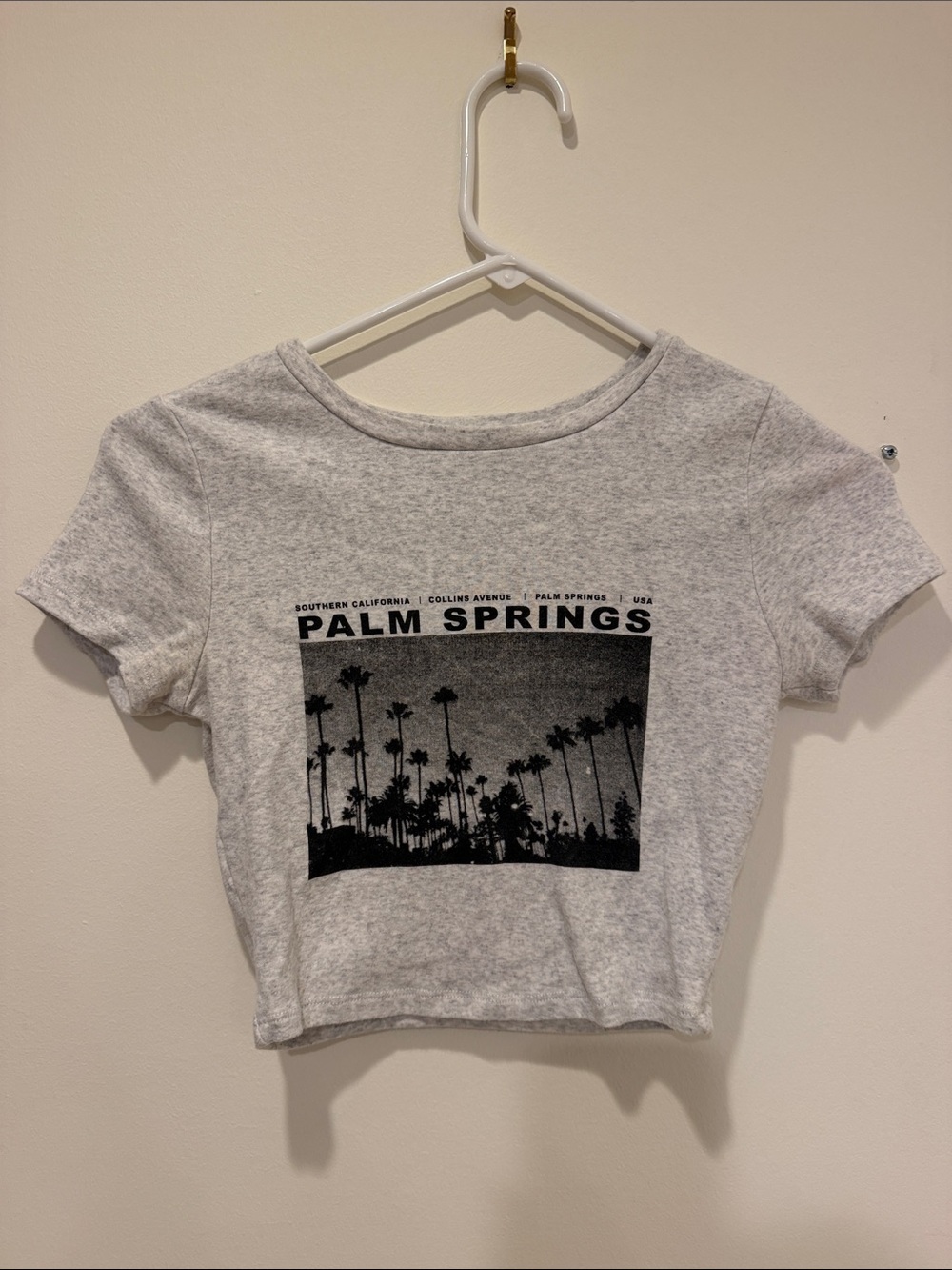 Garage Gray Palm Springs Graphic Crop Top
